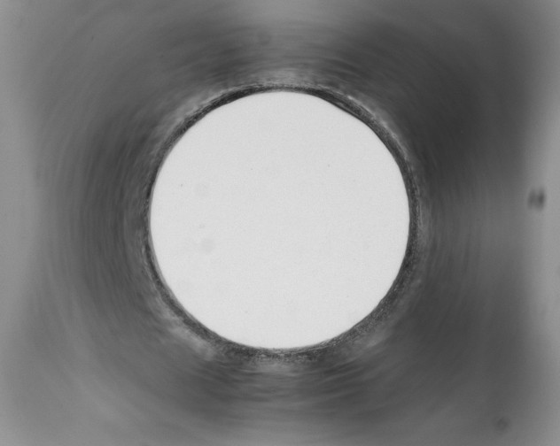 X0000112050625200909151003