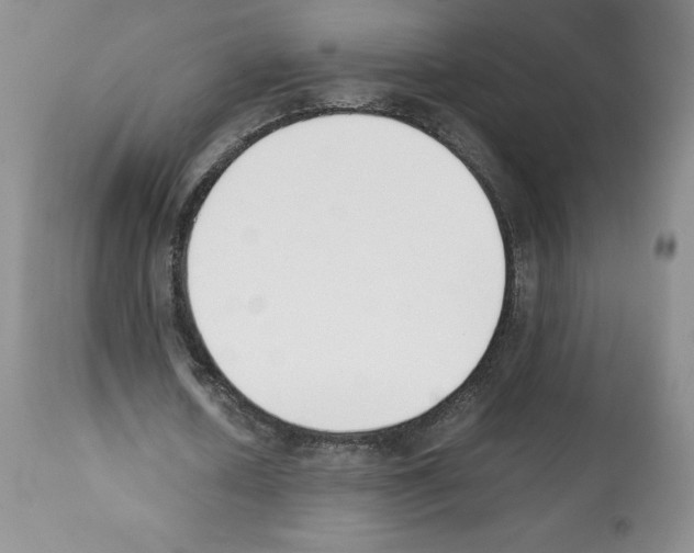 X0000112050626200909151003