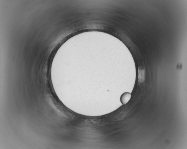 X0000112050627200909151003