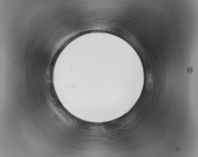 X0000112050628200909151003