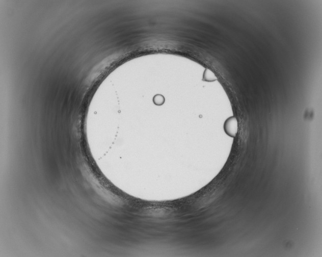 X0000112050629200909151003