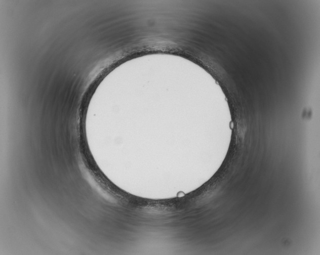 X0000112050630200909151003