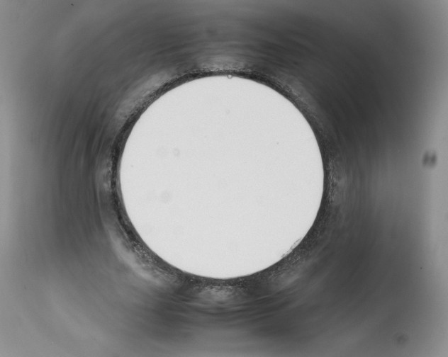 X0000112050631200909151003