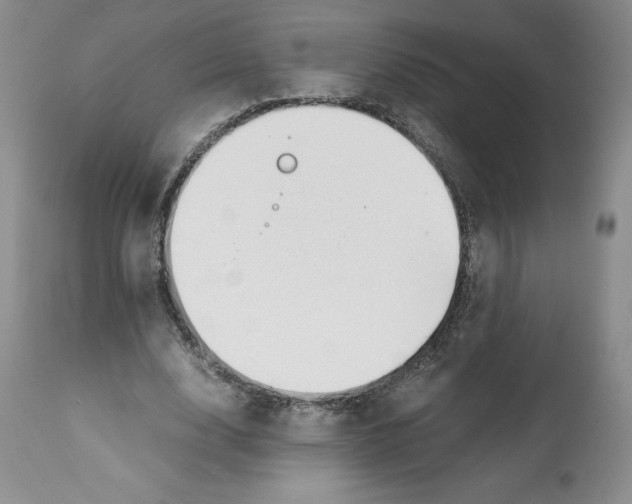 X0000112050632200909151003