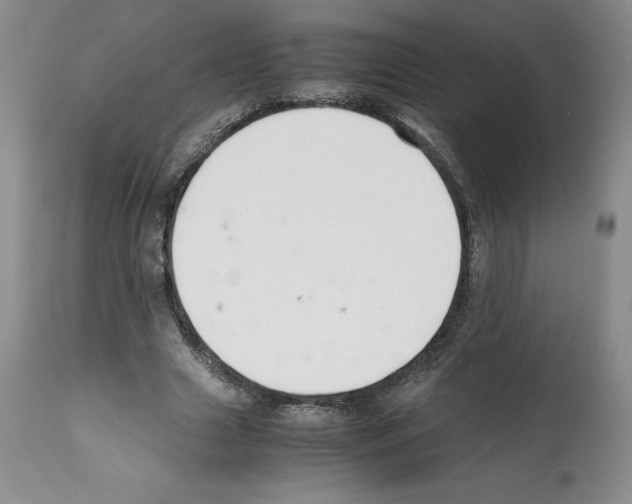 X0000112050633200909151003
