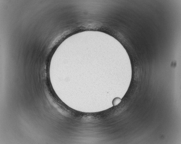 X0000112050634200909151003