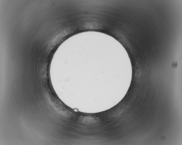 X0000112050635200909151003