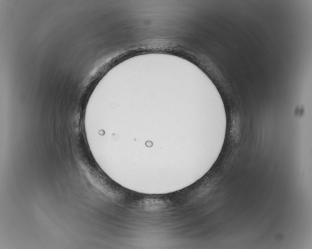 X0000112050636200909151003