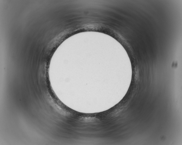 X0000112050637200909151003