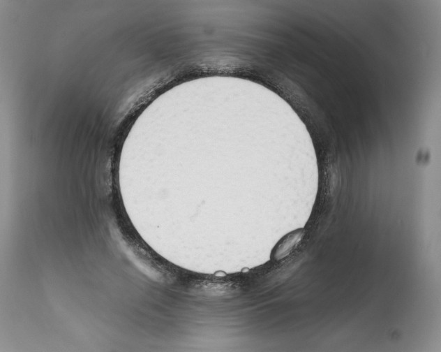 X0000112050638200909151003
