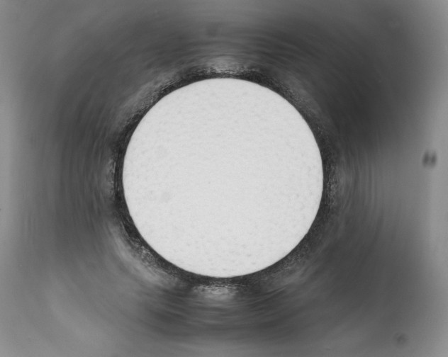 X0000112050639200909151003