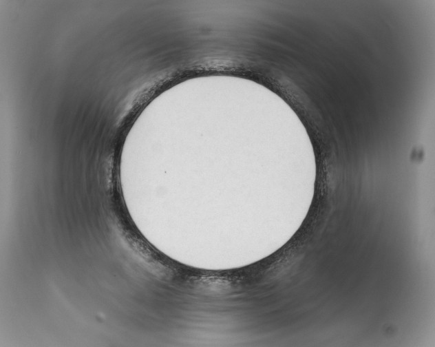 X0000112050640200909151003