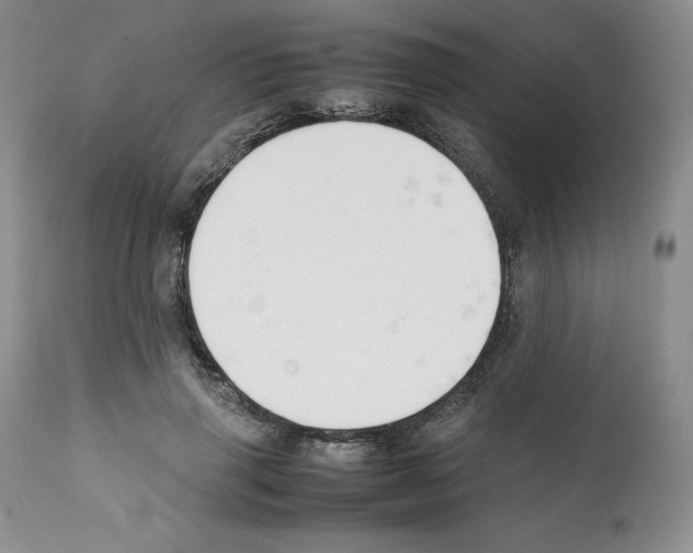 X0000112050645200909151003