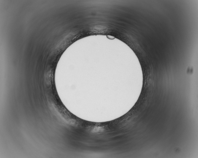 X0000112050647200909151003
