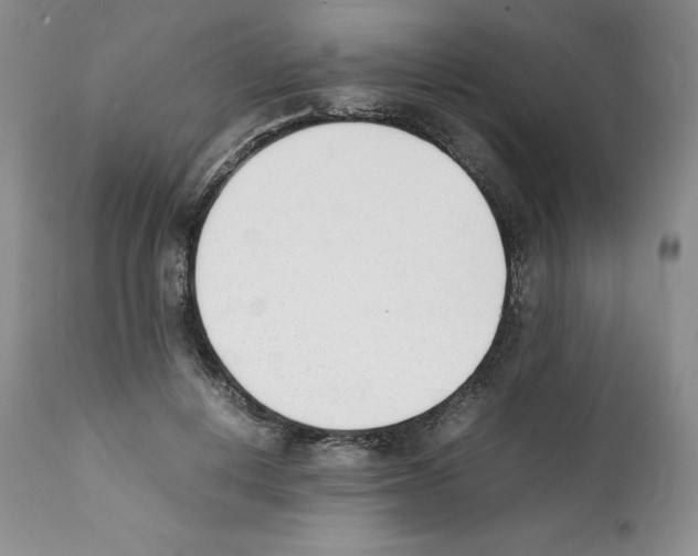 X0000112050648200909151004