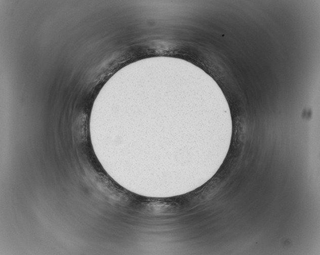 X0000112050650200909151004
