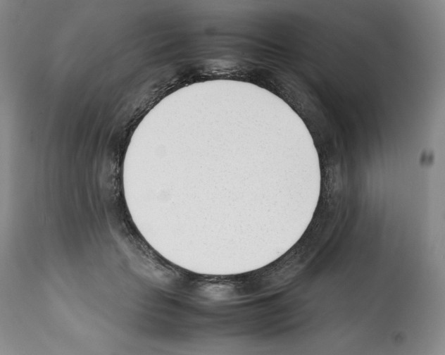 X0000112050653200909151004