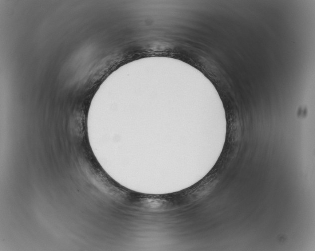 X0000112050654200909151004