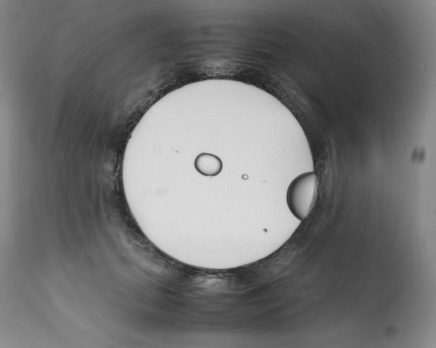 X0000112050655200909151004