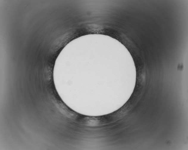 X0000112050658200909151004