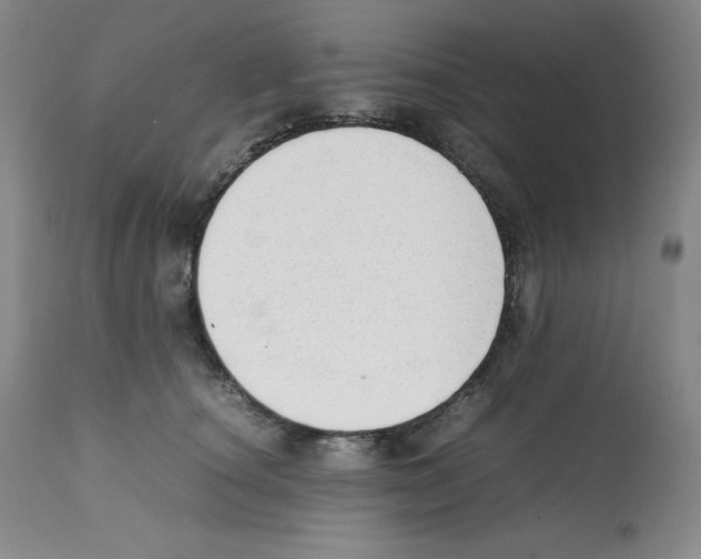 X0000112050660200909151004
