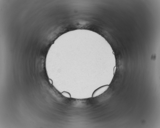 X0000112050664200909151004