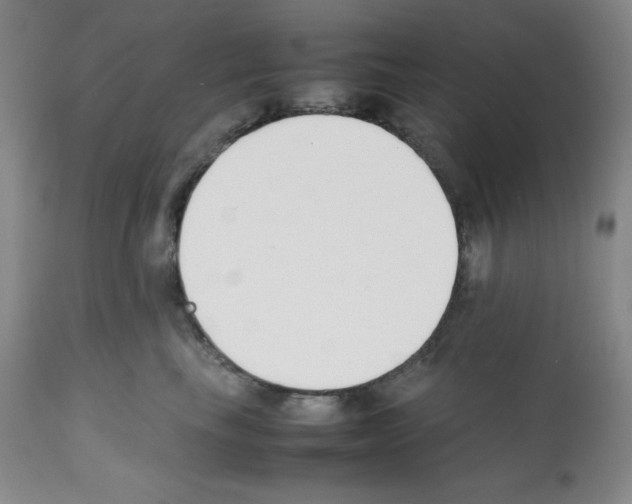 X0000112050665200909151004