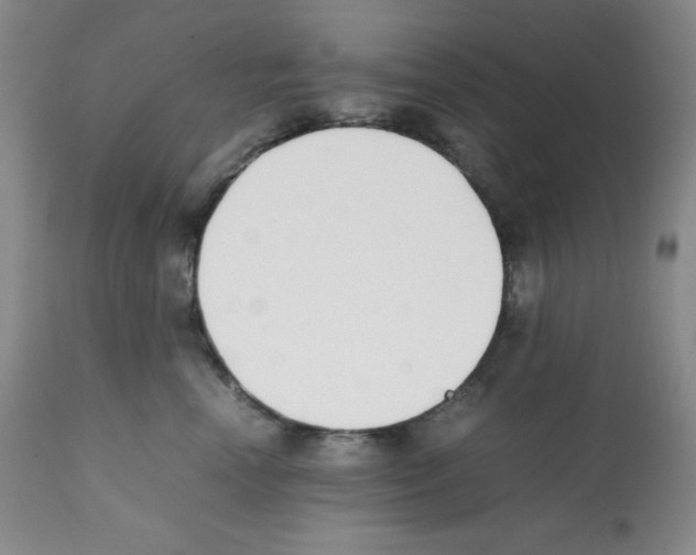 X0000112050666200909151004