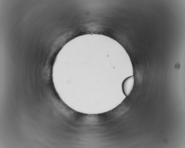 X0000112050668200909151004