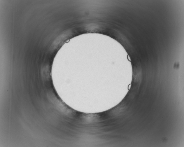 X0000112050670200909151004
