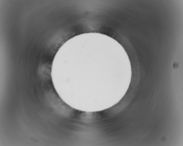 X0000112050672200909151004