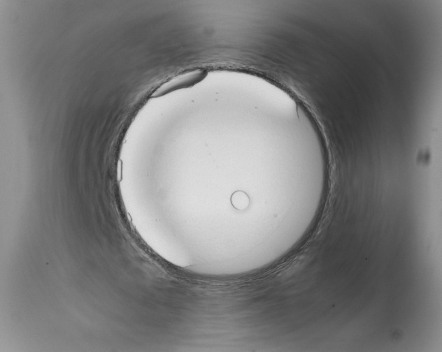 X0000112050673200909151003