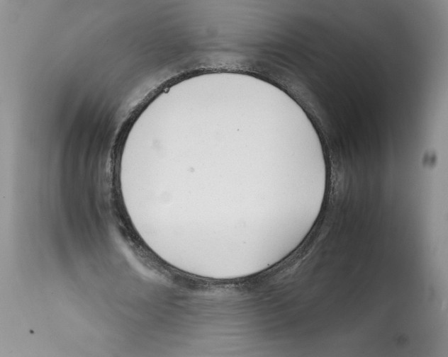X0000112050674200909151003