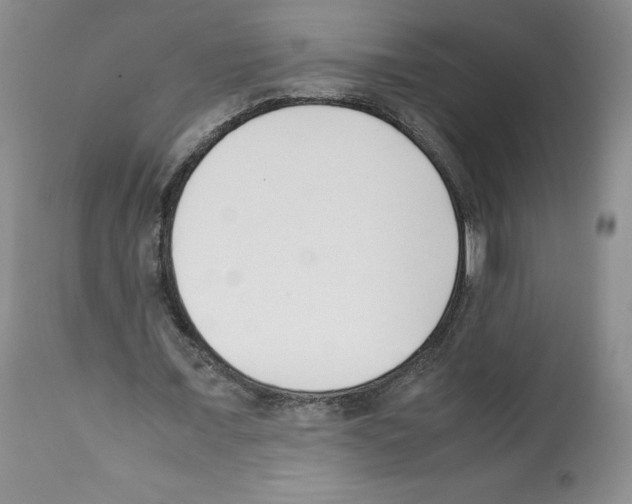 X0000112050675200909151003