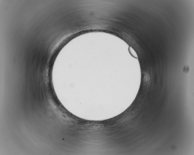 X0000112050676200909151003