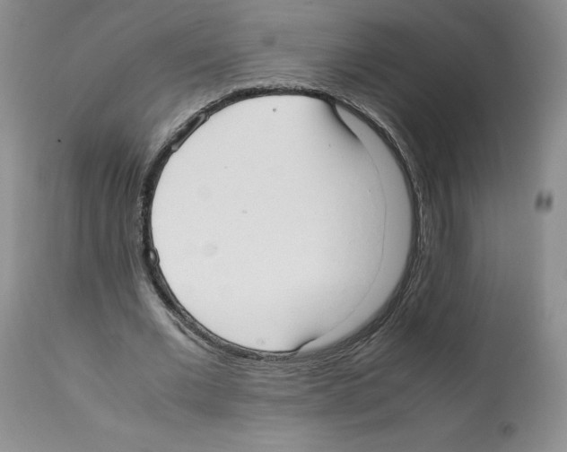 X0000112050677200909151003
