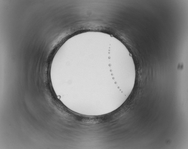 X0000112050679200909151003