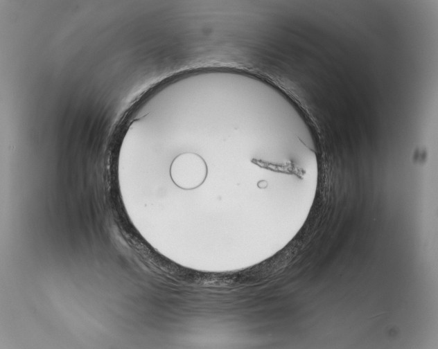 X0000112050680200909151003