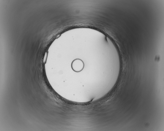 X0000112050681200909151003