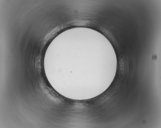 X0000112050682200909151003