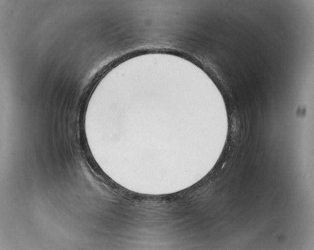 X0000112050684200909151003