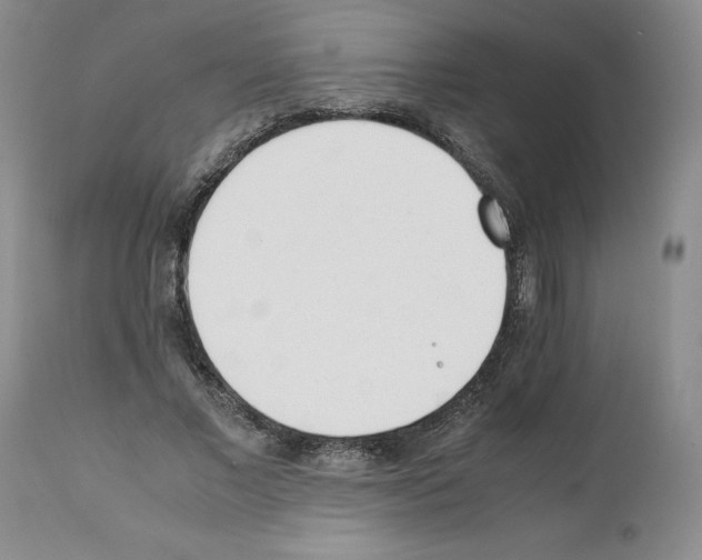 X0000112050685200909151003