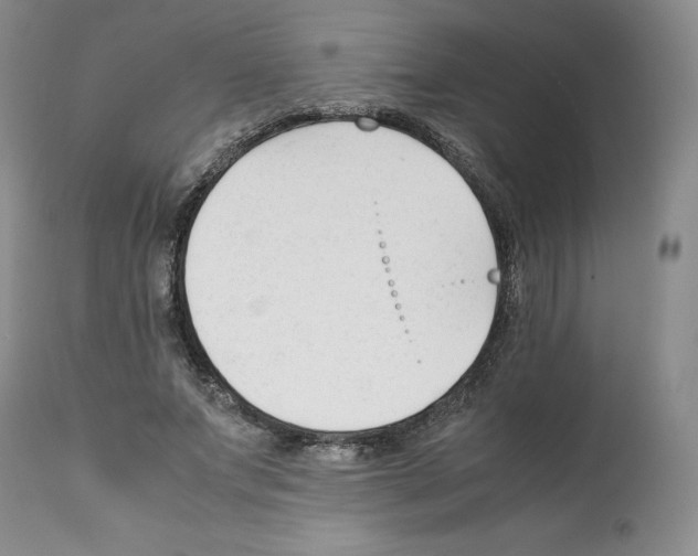 X0000112050687200909151003