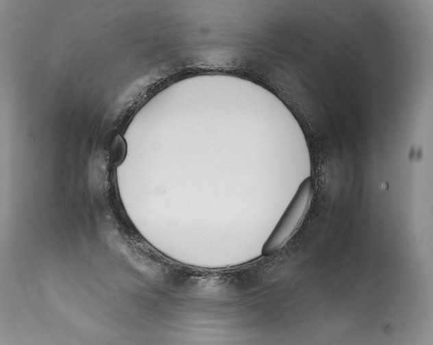 X0000112050688200909151003