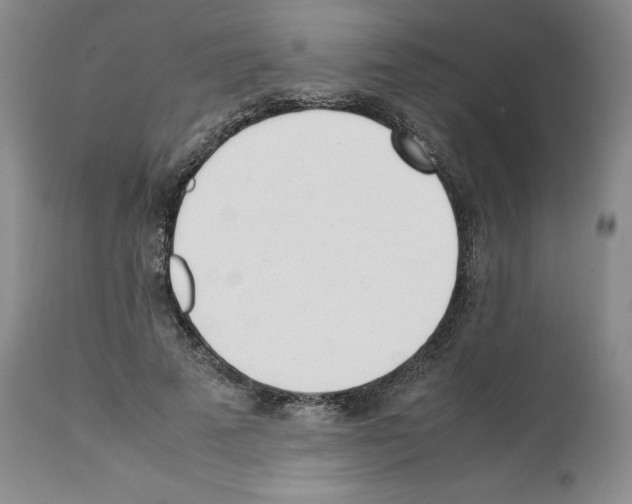 X0000112050689200909151003