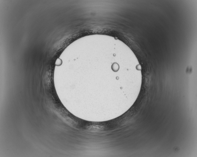 X0000112050691200909151003
