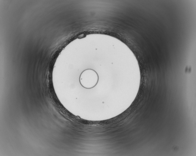 X0000112050692200909151003