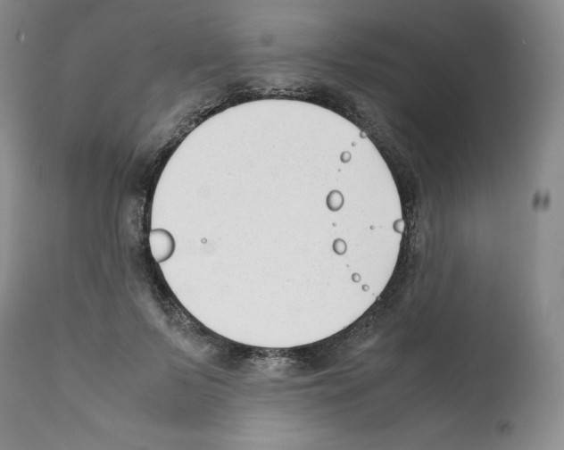 X0000112050695200909151003