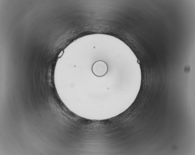 X0000112050696200909151003