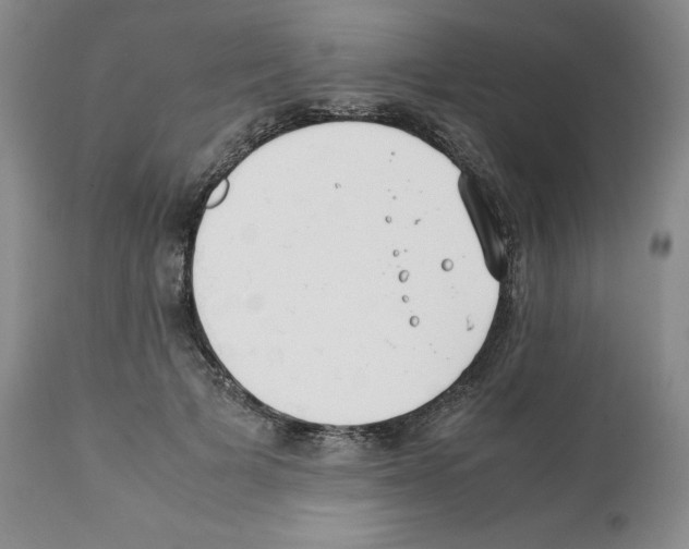 X0000112050697200909151003